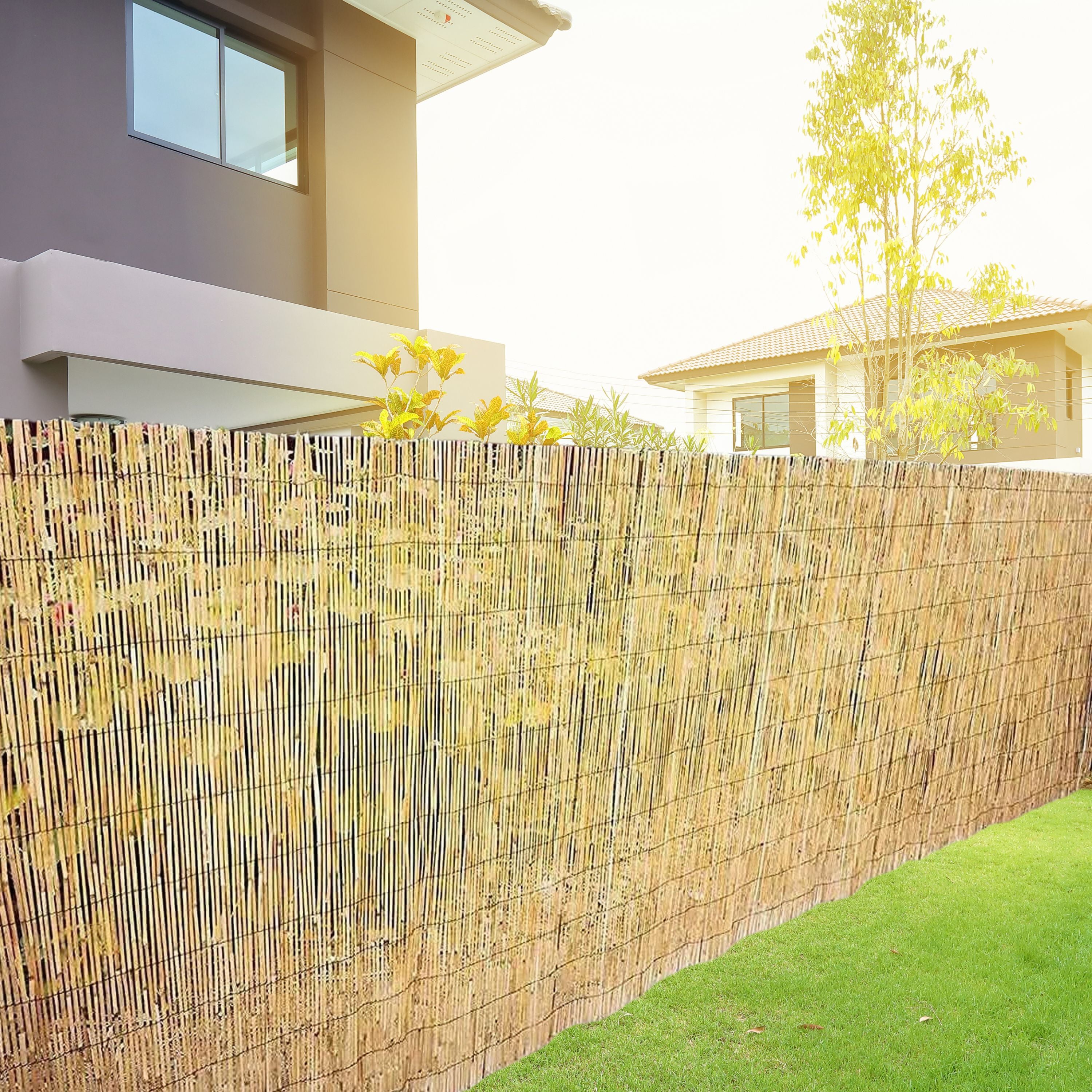 Natural Split Reed Fence Panel – Eco-Friendly Garden Privacy Screening, Durable Outdoor Fence Covering, Easy Installation, Weather-Resistant Reed Panels for Decorative Fencing
