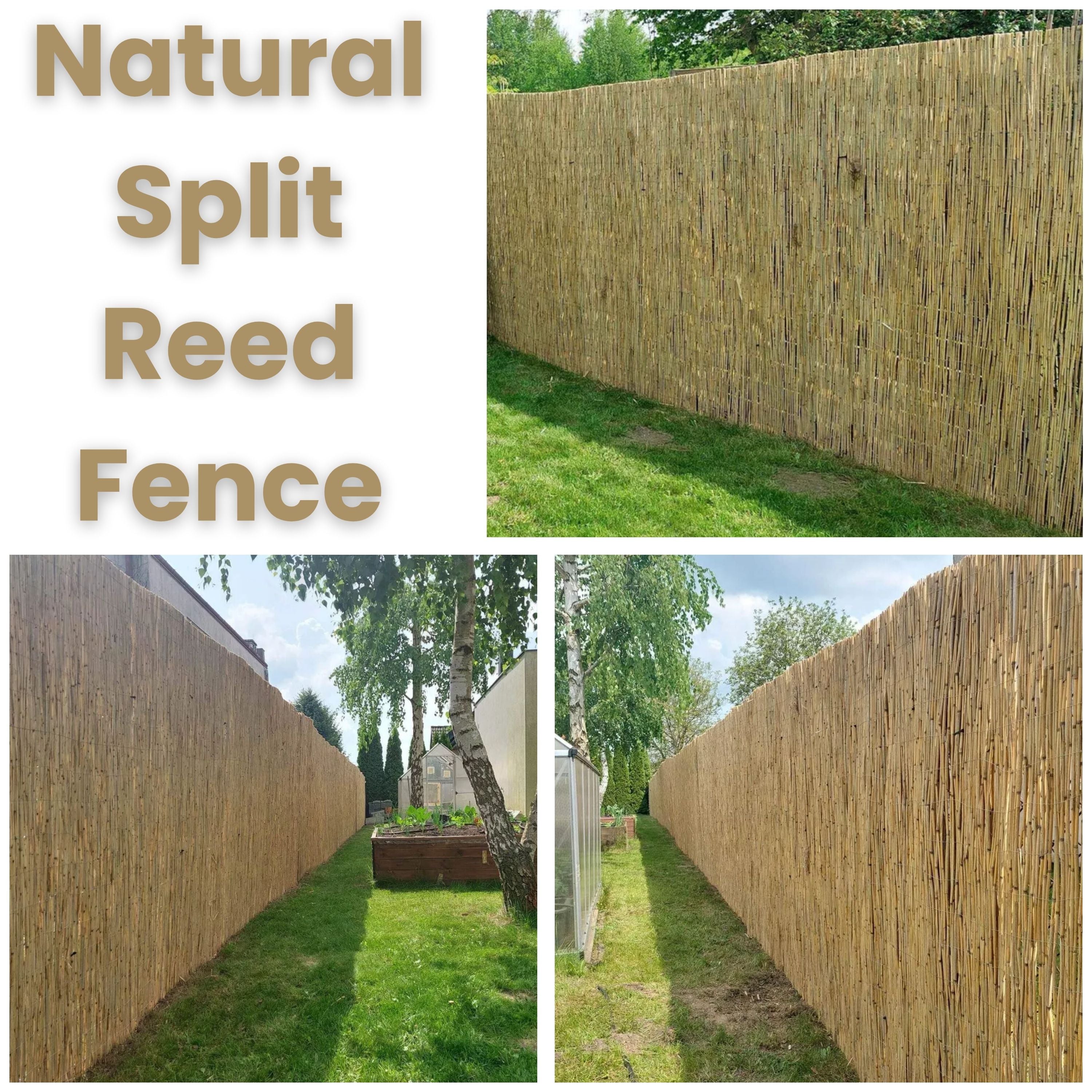 Natural Split Reed Fence Panel – Eco-Friendly Garden Privacy Screening, Durable Outdoor Fence Covering, Easy Installation, Weather-Resistant Reed Panels for Decorative Fencing